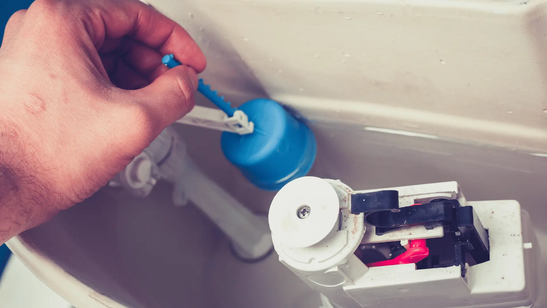 How to Easily Replace a Toilet Flapper